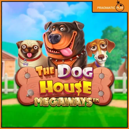 도그 하우스 메가웨이즈