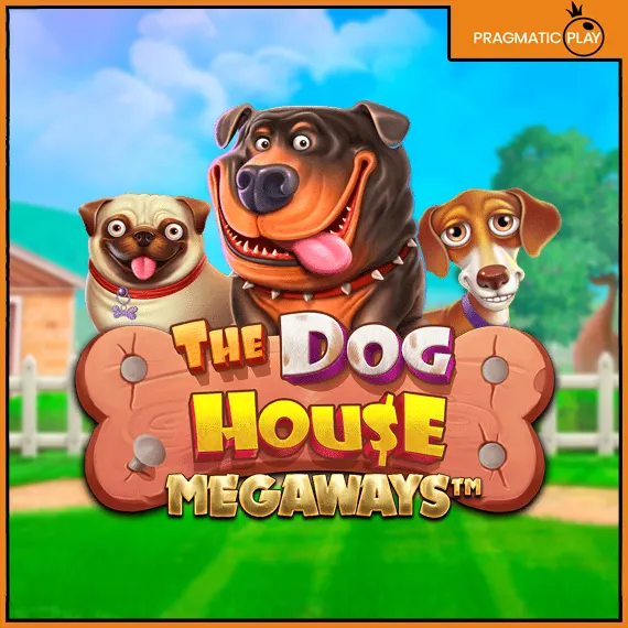 도그 하우스 메가웨이즈