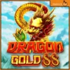 드래곤 골드 88