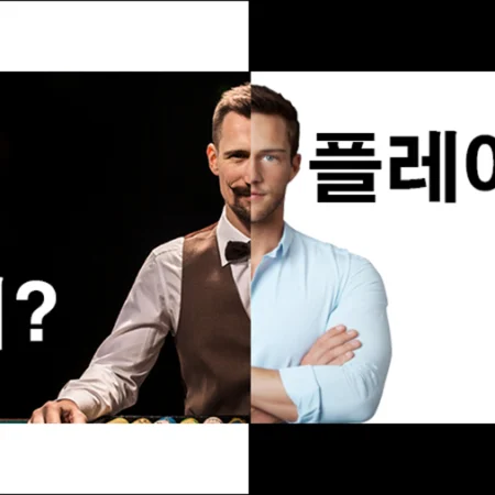 바카라 노하우 – 바카라 확률 및 전략 등 완벽 바카라 공략