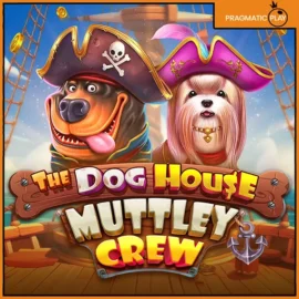 도그 하우스 머틀리 크루