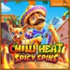 칠리 히트 스파이시 스핀
