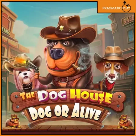 도그 하우스 도그 오어 어라이브