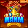 빙고 마니아