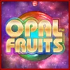 오팔 프루츠