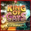 킹 오브 캣츠 메가웨이즈
