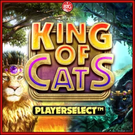 킹 오브 캣츠 메가웨이즈