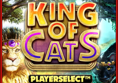 킹 오브 캣츠 메가웨이즈